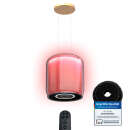 Cooker hood 37cm SHINE37